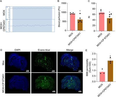 Exploring the effects of moxibustion on cognitive function in rats with multiple cerebral infarctions from the perspective of glial vascular unit repairing